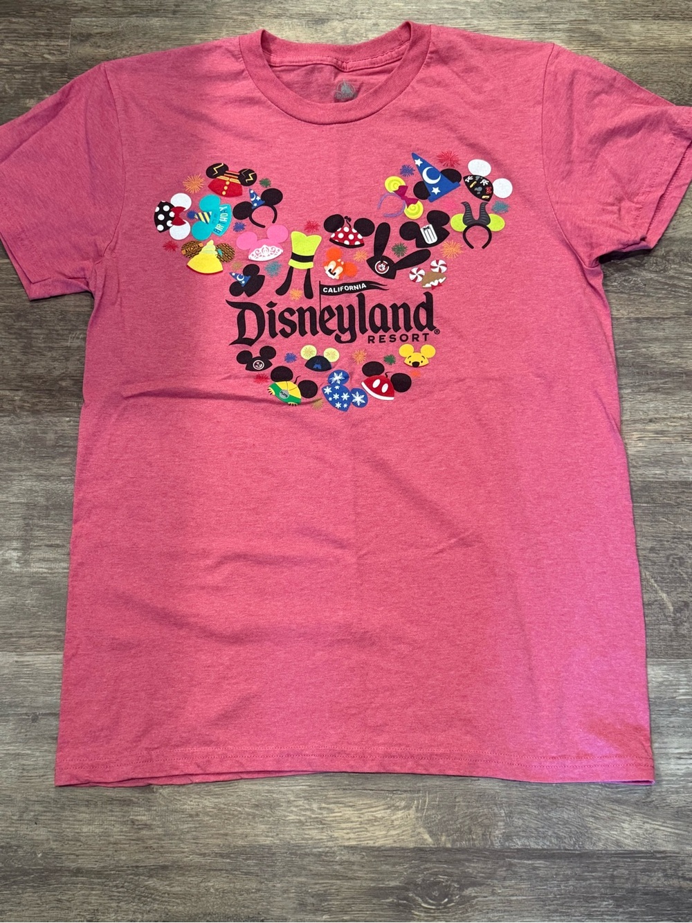 Disneyland Resort Tshirt